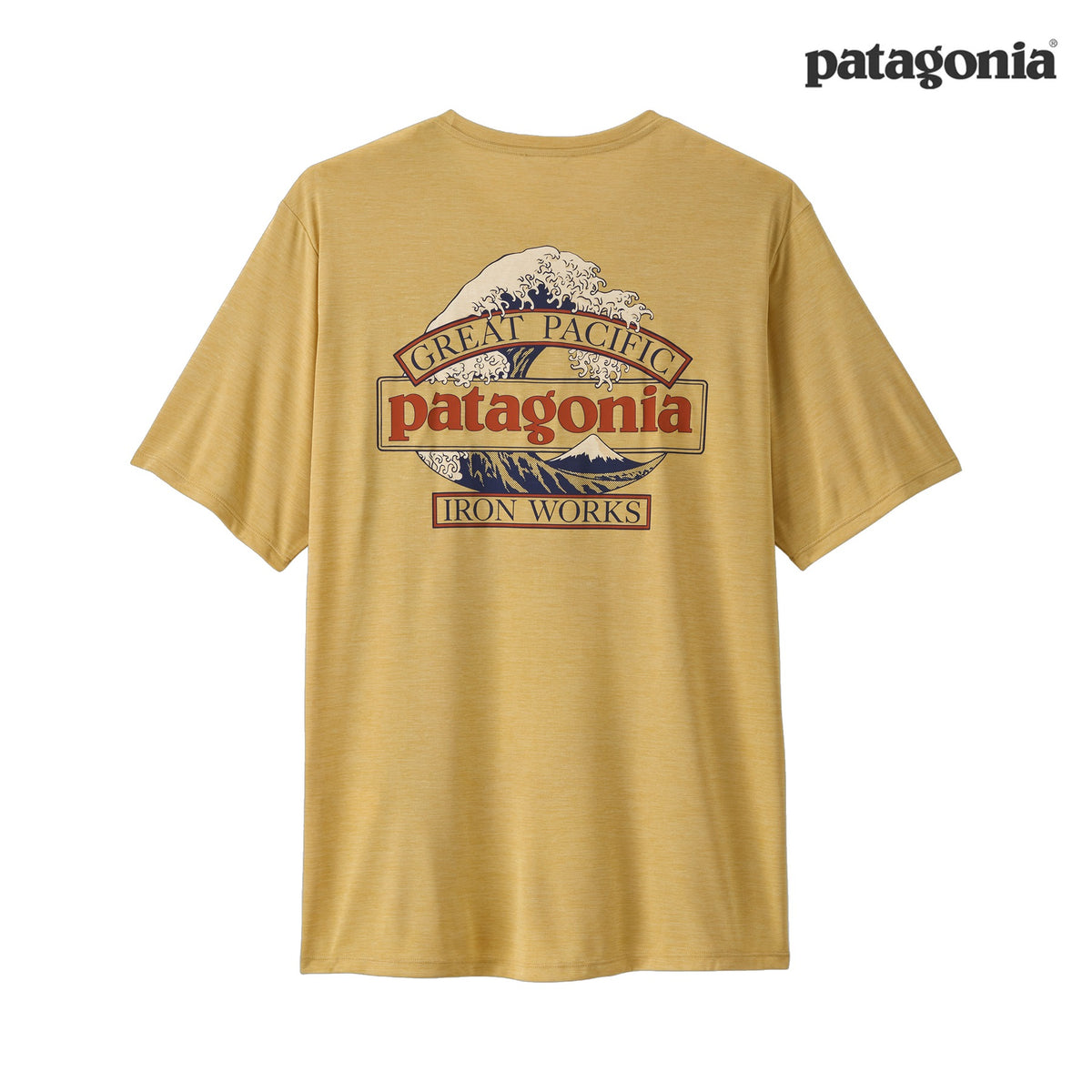 Patagonia キャプリーン　STY86170 XXL タグ付き Patagonia キャプリーン STY86170 XXL タグ付き Patagonia キャプ