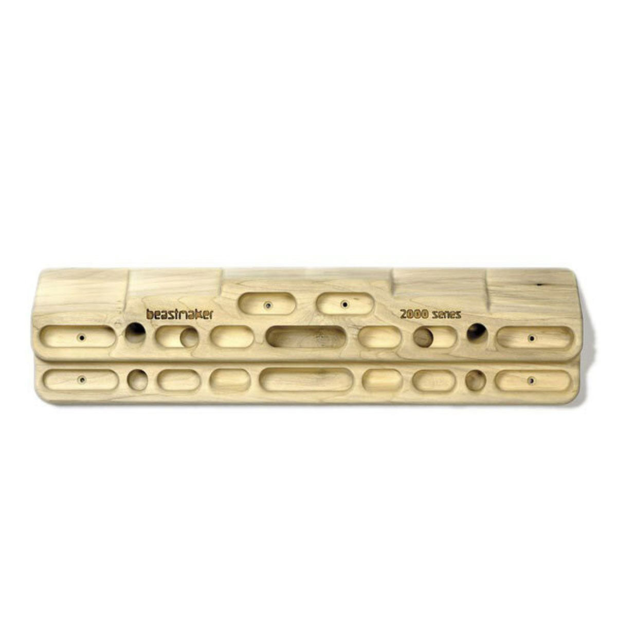 Beastmaker 2000 Fingerboard Training Panel