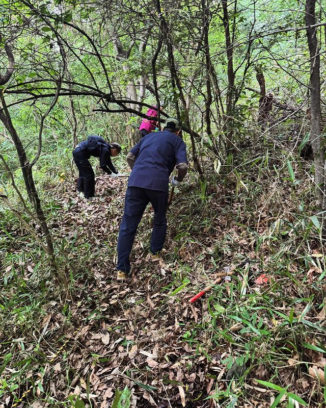 枚岡公園で森林整備体験をしよう！