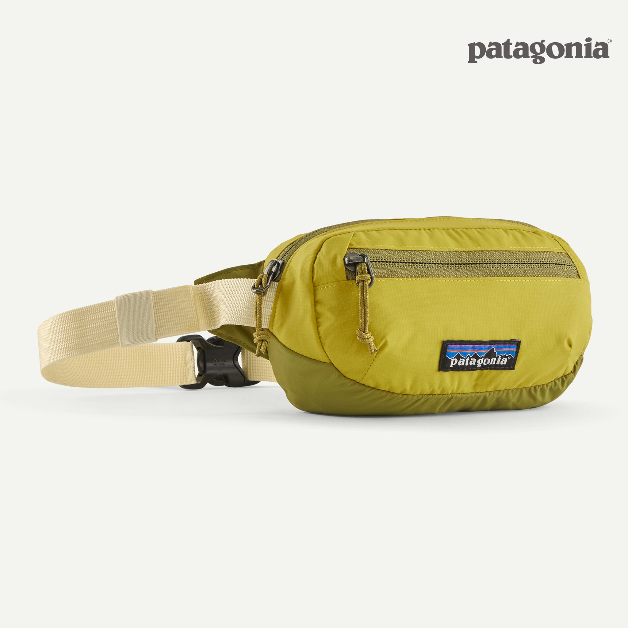 【完売カラー】patagonia ヒップバッグ　1L patagonia パタゴニア ボディバッグ Patagonia テラヴィア ミニ
