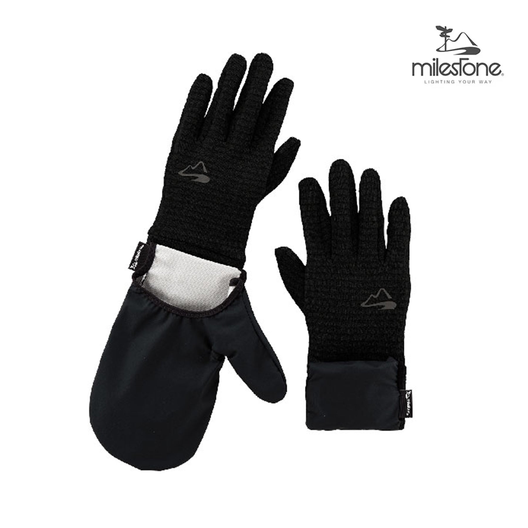 milestone – ROCK STEPPERS