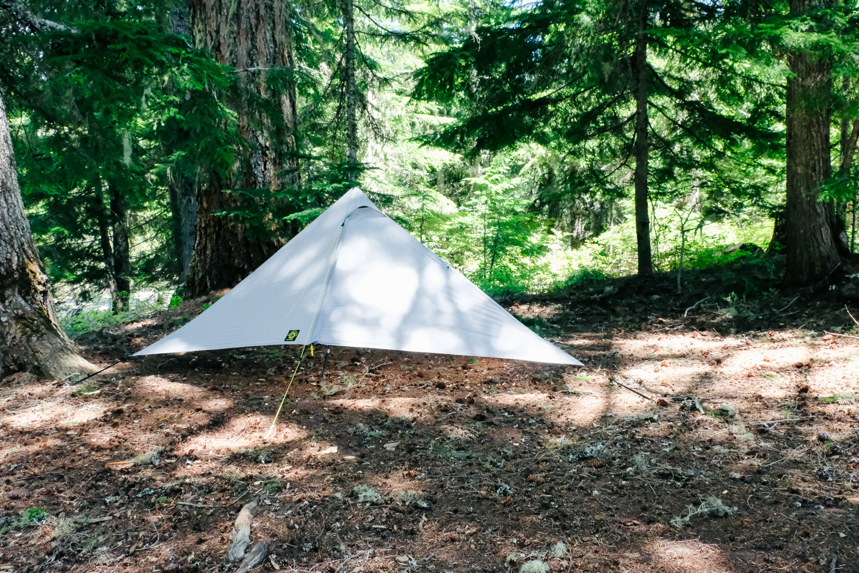 Descutes Tarp
